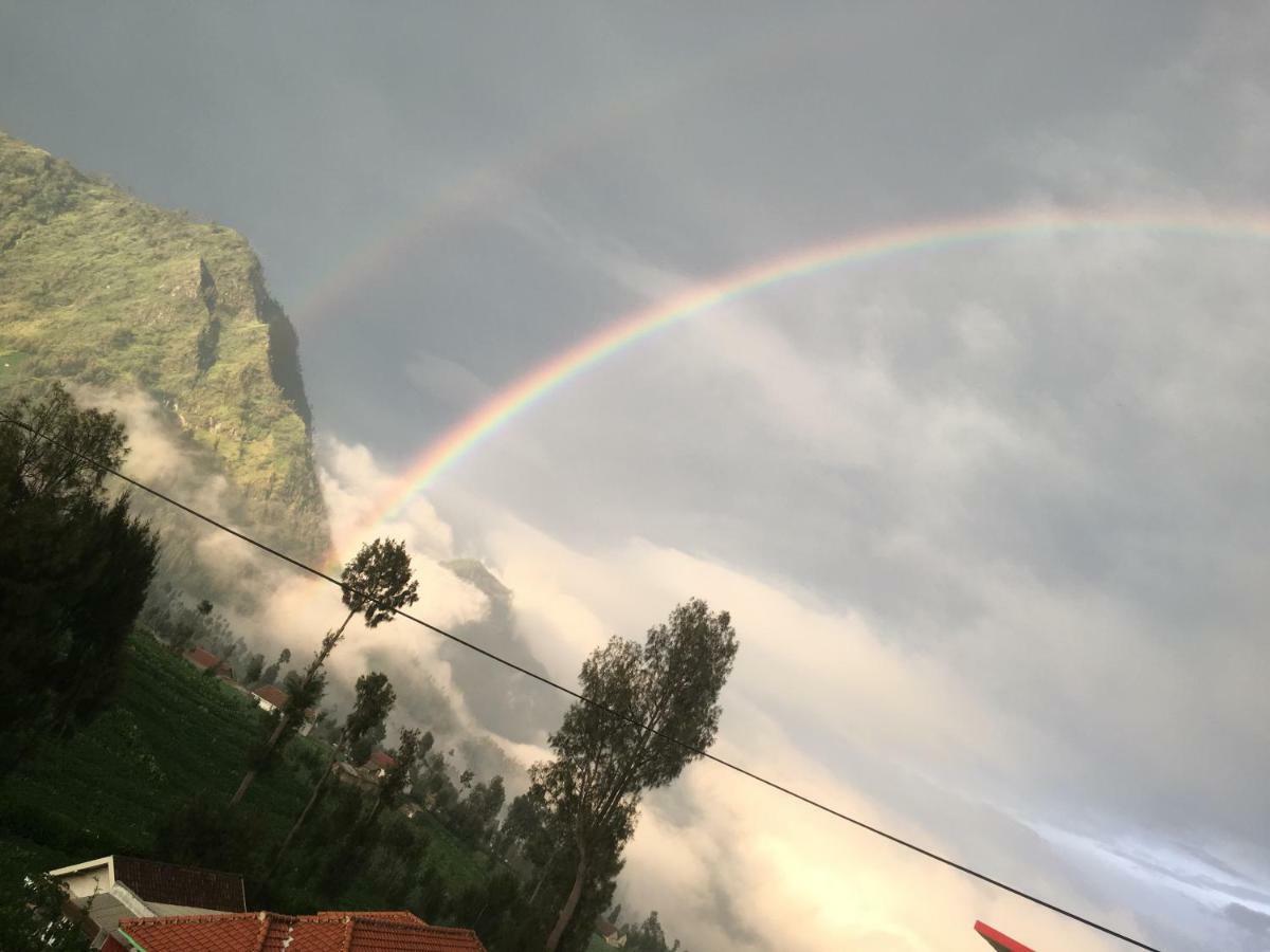 Bromo Deddy Homestay ภายนอก รูปภาพ
