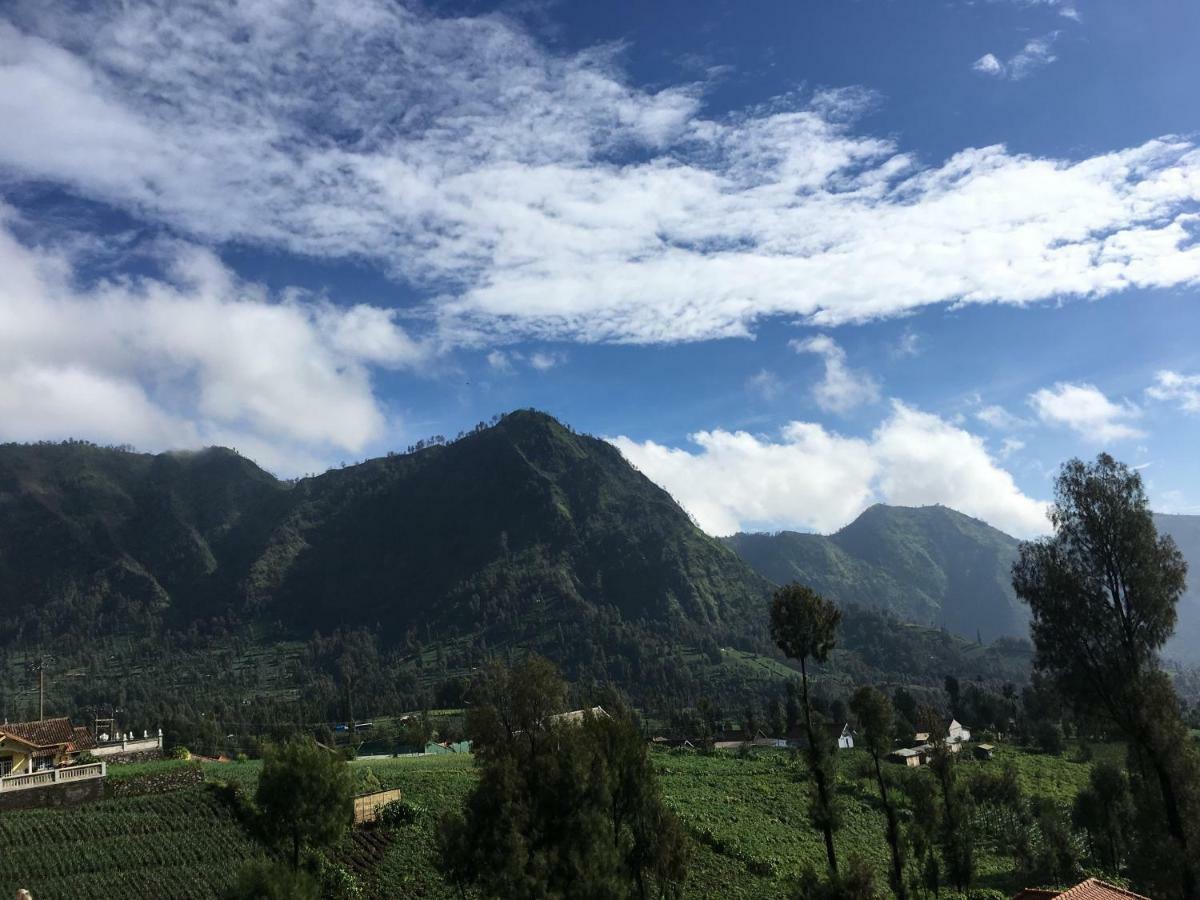 Bromo Deddy Homestay ภายนอก รูปภาพ